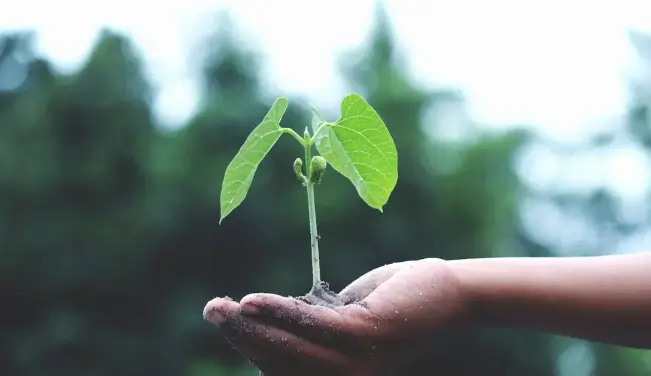 Teknologi Ramah Lingkungan