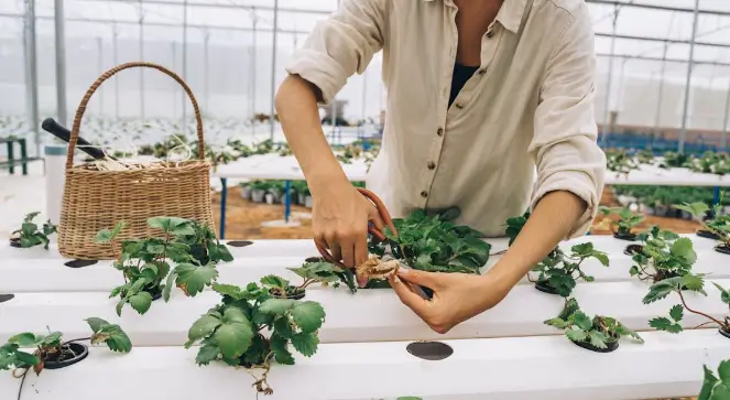 Teknologi Ramah Lingkungan