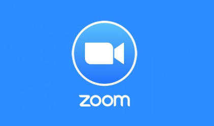 Google Meet vs Zoom, Mana yang Terbaik